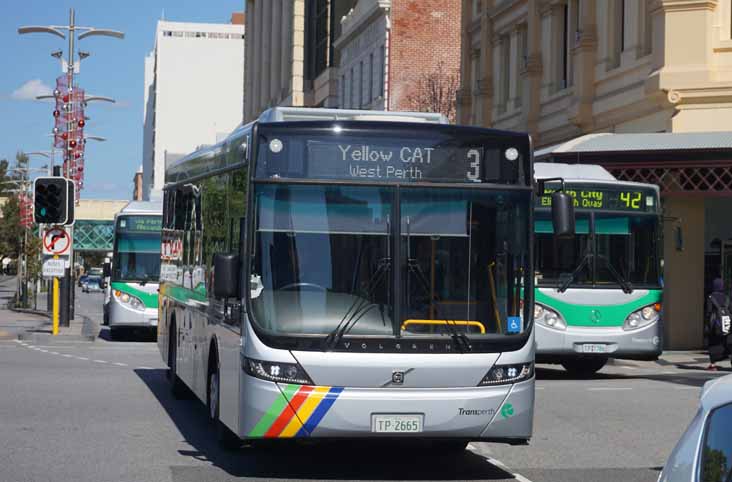 Transperth CAT Volvo B8RLE Volgren Optimus 2665 & Mercedes Volgren CR226L 1786